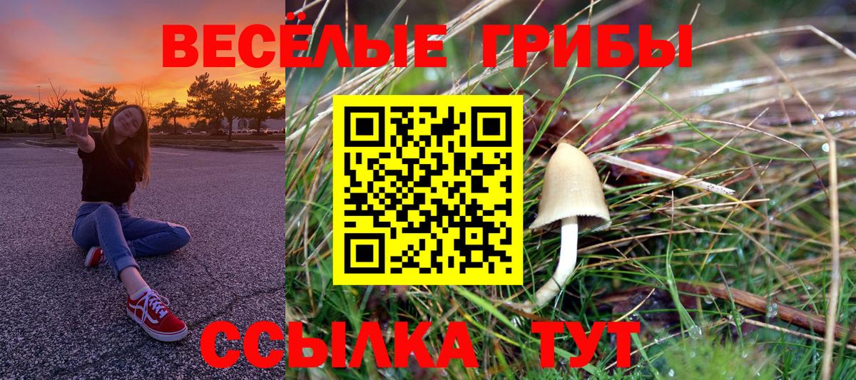 Бугуруслан  Псилоцибиновые грибы Cubensis  Вход с VPN 